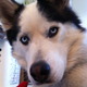 Photo.small