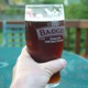 Badger_icon.small