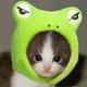 1511-cute_animals_1crop_thumb.small