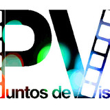 Pdv_logo_final-small.medium