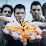 Flower.medium