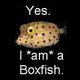 Fb_profile_picture.small