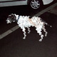Tumblr_lr9qy9jdgh1qziwcjo1_500.small