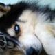 Fb_profile_picture.small
