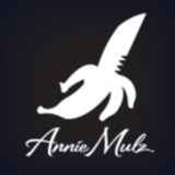 Tumblr.medium