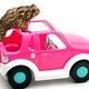 Toad%20and%20car.small