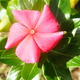 Dscf2271.small