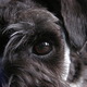 Dscn0659.small