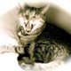 Fb_profile_picture.small