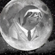 Moonsloth.small