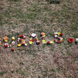Img_0249.medium