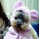 Fb_profile_picture.small