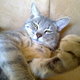 26062011163.small