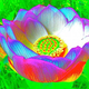 Trippy%20lotus.small