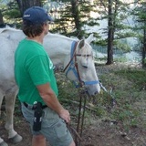 Montanahorse.medium
