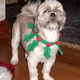 Dscf0007.small
