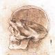 Skull1.small