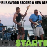 Bwood%20tidal%20wave.medium
