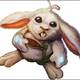 Bunny.small