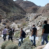 Bordera%20gelswalk.medium