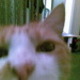 Avatar1.small