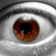 _twitter_eye.small