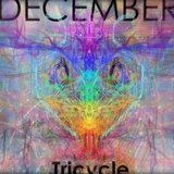 2012-12-3d.medium