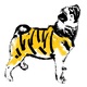 Tigermops.small