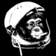 Space-monkey.small