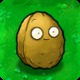 Wall-nut2.small