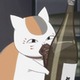 Nyankomk4.small
