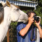 Markandhelperhorse.medium