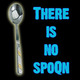 Spoon_ava.small