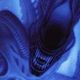 Xeno.small
