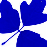 Blue.medium