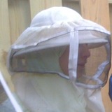Bees.medium