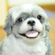 Nickie%20avatar.small
