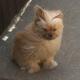 Mindiwind.small