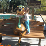 Yogi1.medium