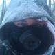 Fb_profile_picture.small
