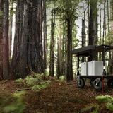 Ranger_redwoods.medium