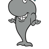 Whalefnl1jpg.medium