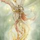 Ave_fenix0.small