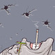 Spider_220x220.small