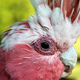 325266244_ca181b4f90_b.small