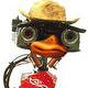 J5duck.small