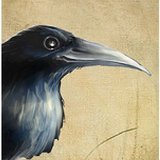 Black%20storm%20id.medium