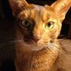 Fb_profile_picture.small