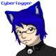 Cybertoygerava.small