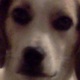 Nina_face.small